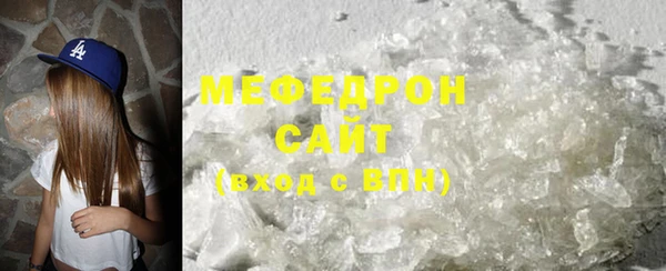 мдпв Гусев