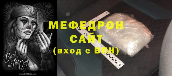 мдпв Гусев
