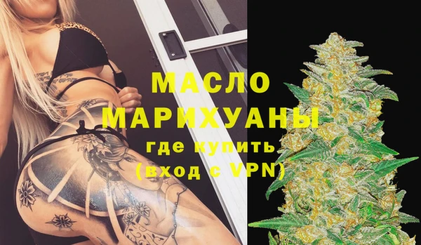 мдпв Гусев