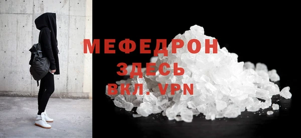 мдпв Гусев