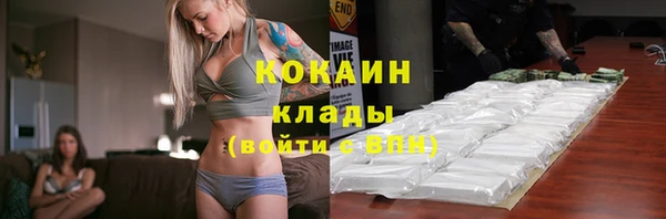 мдпв Гусев