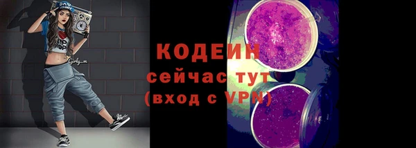 мдпв Гусев
