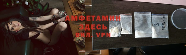 мдпв Гусев