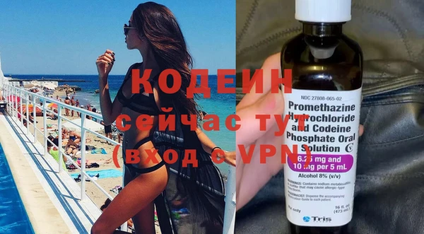 мдпв Гусев