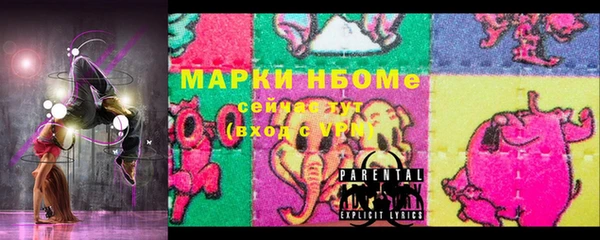 мдпв Гусев