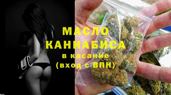 мдпв Гусев