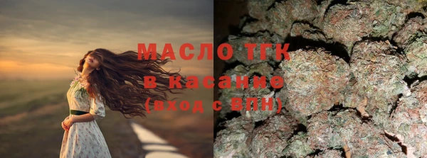мдпв Гусев